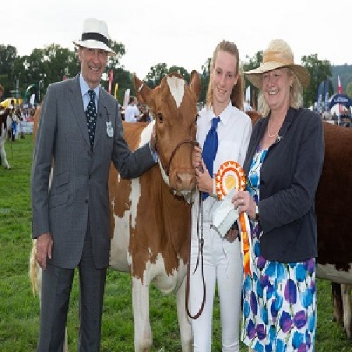 Three Shires Cattle Competition Results